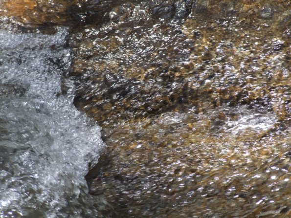 Foto 2008-05-02 12-43-13