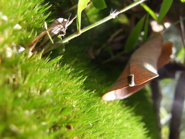 Foto 2008-05-02 12-56-33