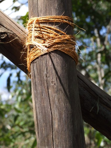 Foto 2008-05-02 12-58-57