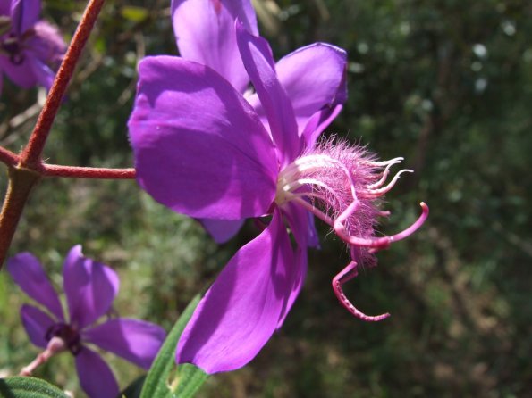 Foto 2008-05-02 13-01-09