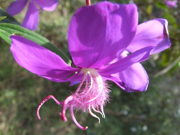 Foto 2008-05-02 13-01-28