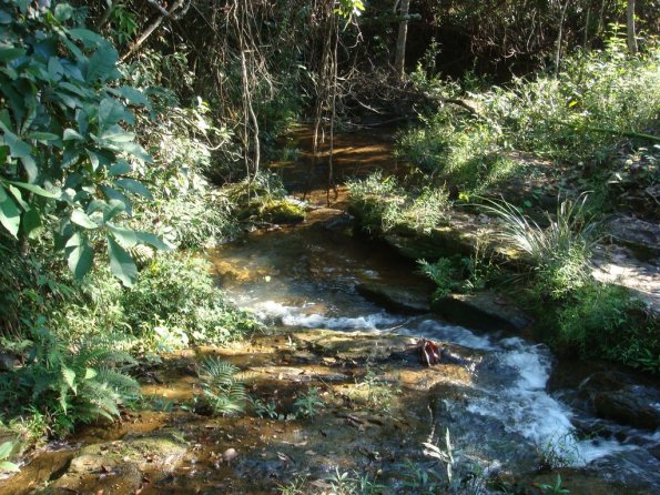 Foto 2008-05-03 08-10-50