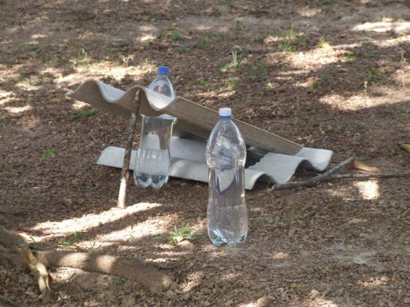 Foto 2008-05-03 10-21-23