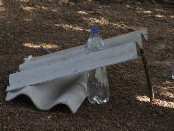 Foto 2008-05-03 10-21-46