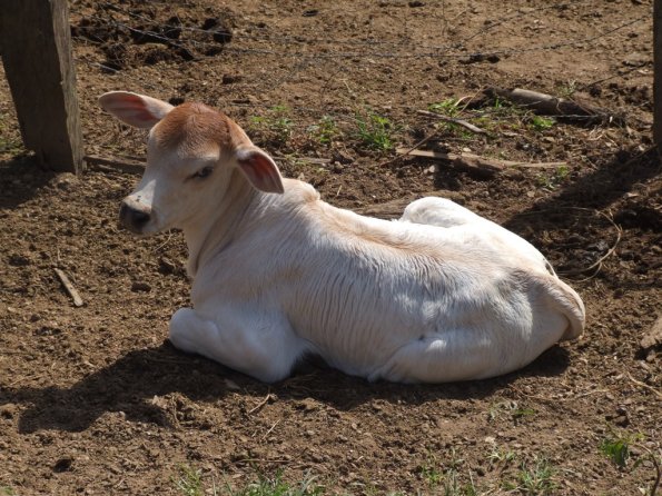 Foto 2008-05-03 10-34-22