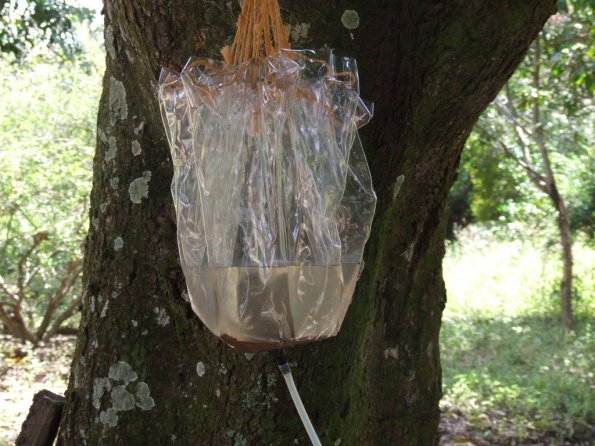 Foto 2008-05-03 11-24-43