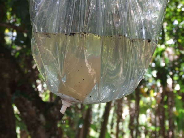 Foto 2008-05-03 11-24-53