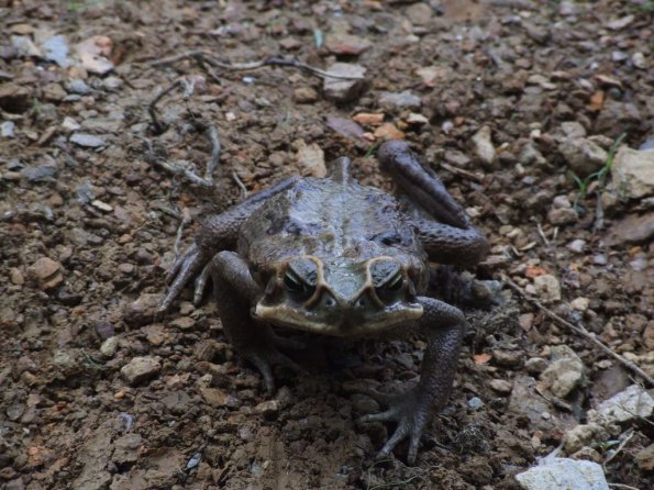 Foto 2008-05-03 11-31-20