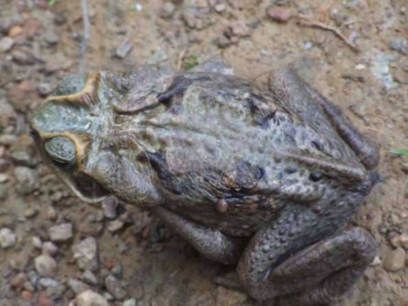 Foto 2008-05-03 11-34-58