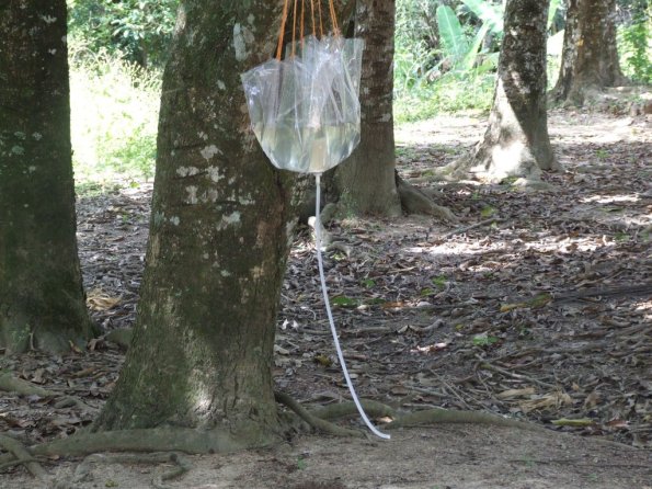 Foto 2008-05-03 11-43-01