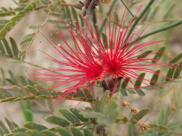 Foto 2008-05-03 12-08-37