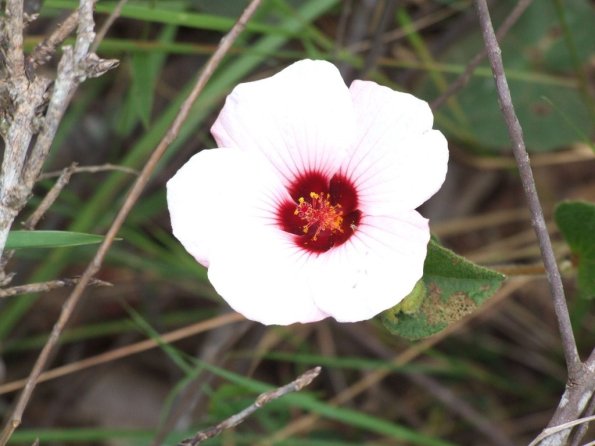 Foto 2008-05-03 12-10-58