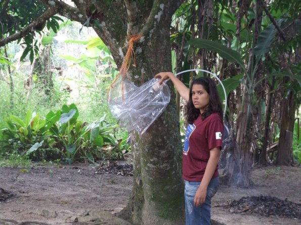 Foto 2008-05-03 16-24-55