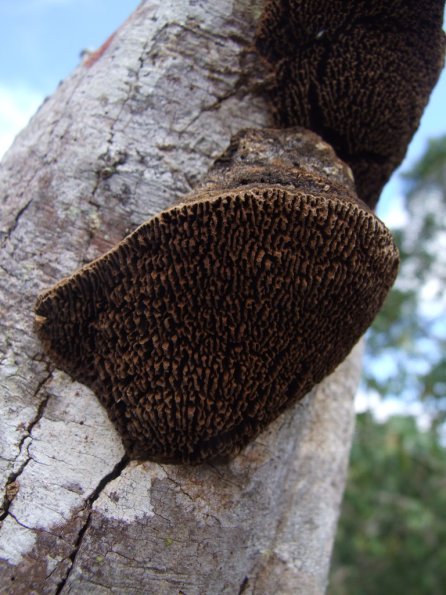 Foto 2008-05-04 11-04-36