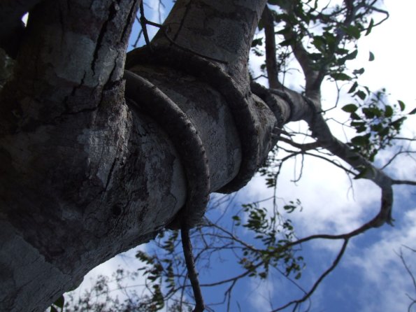 Foto 2008-05-04 11-06-43