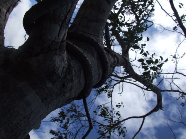 Foto 2008-05-04 11-07-01